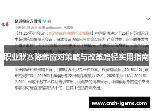 职业联赛降薪应对策略与改革路径实用指南