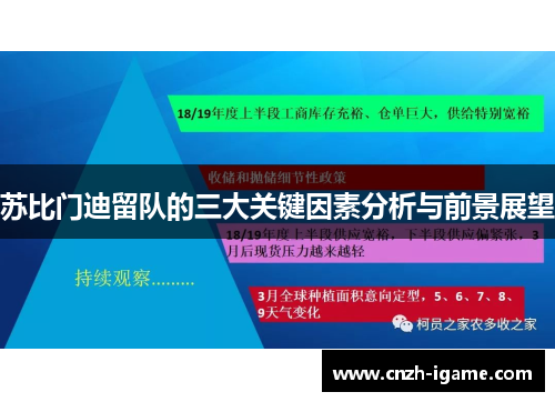 苏比门迪留队的三大关键因素分析与前景展望 苏比门迪留队的三大关键因素分析与前景展望