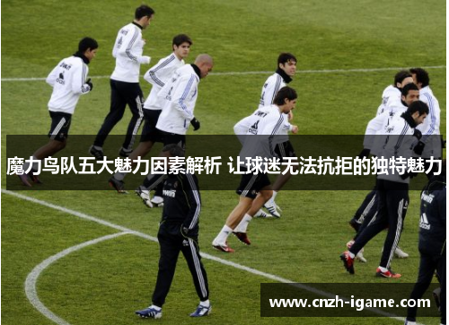 魔力鸟队五大魅力因素解析 让球迷无法抗拒的独特魅力