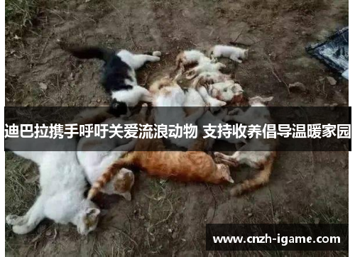 迪巴拉携手呼吁关爱流浪动物 支持收养倡导温暖家园