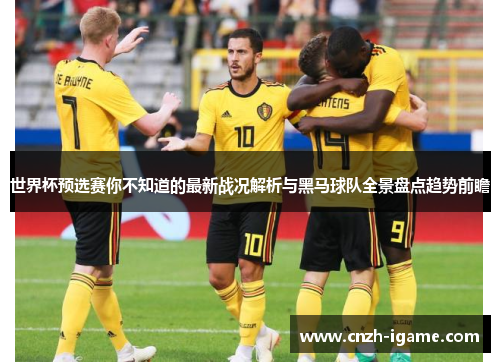 世界杯预选赛你不知道的最新战况解析与黑马球队全景盘点趋势前瞻