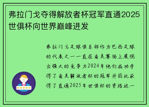 弗拉门戈夺得解放者杯冠军直通2025世俱杯向世界巅峰进发